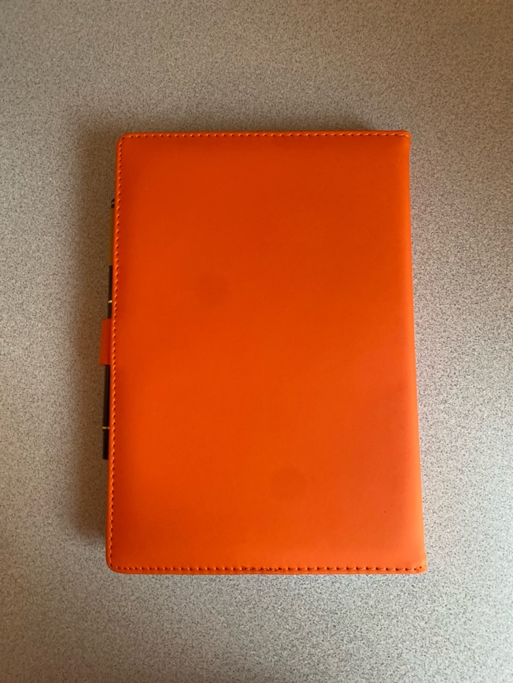 Hermès VIP Journal & Pen Set - Picture 3 of 8